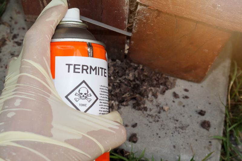 Home Termite Inspection Service